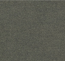 Ковровая плитка Interface Polichrome Solid 4266008 Mole фото 1 | FLOORDEALER